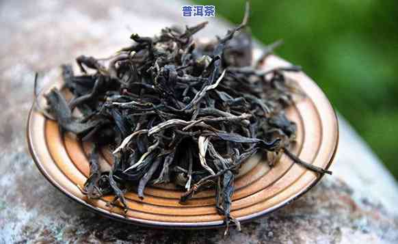 普洱茶广泛种植年代是什么，探寻普洱茶的历史：它在何时何地被广泛种植？