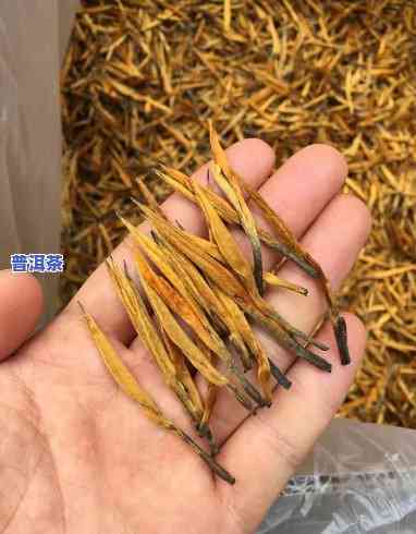 滇红大金针需要洗茶吗？正确清洗方法是什么？