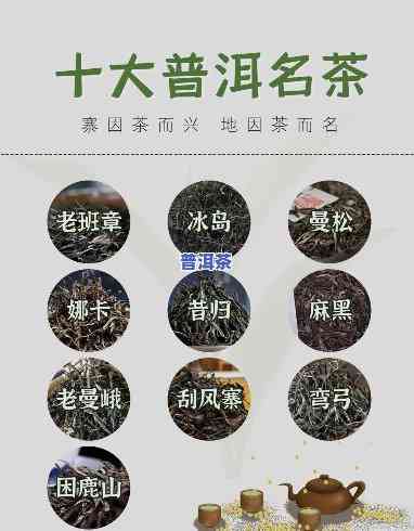 普洱茶十大名茶最新排名一览表