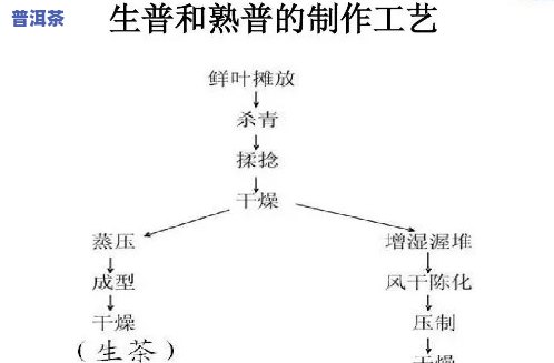 普洱茶发酵过程是不是卫生？全解析