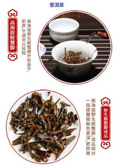 全面欣赏：高清螃蟹脚普洱茶图片大全