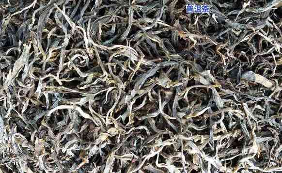 普洱生茶散茶属于什么茶类？详解其类型和特点