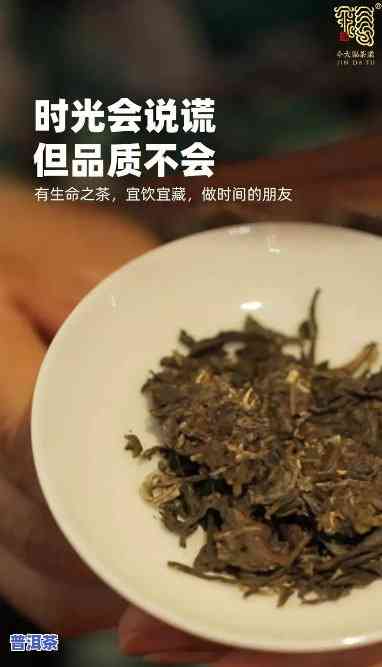 金大福普洱茶用的是什么料-金大福普洱茶用的是什么料子