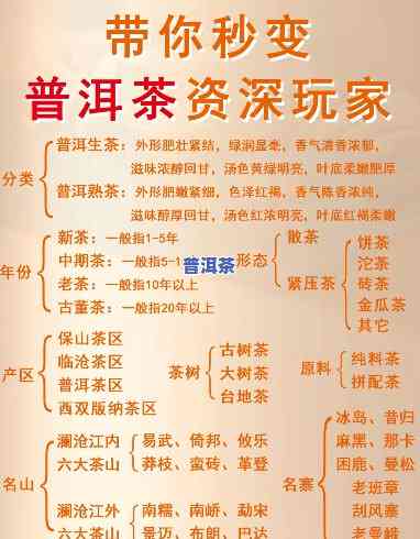 云南普洱茶入门基础知识，探索云南普洱茶的世界：入门基础知识指南