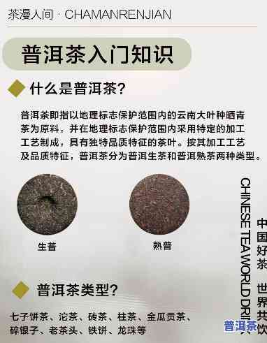 云南普洱茶入门基础知识，探索云南普洱茶的世界：入门基础知识指南