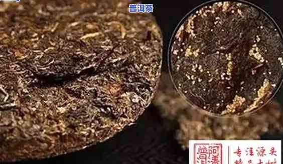 喝了普洱茶拉屎都是金黄色怎么回事，普洱茶的秘密：为何喝后大便呈金黄色？