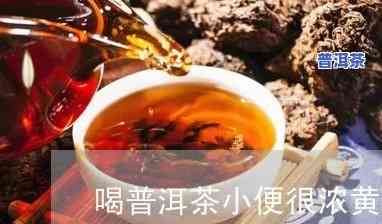 喝了普洱茶拉屎都是金黄色-喝了普洱茶拉屎都是金黄色的