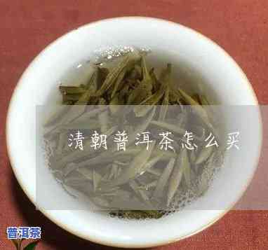 清芷普洱茶旗舰店是不是为正品？求解答