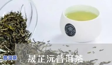 清芷普洱茶旗舰店是真的吗吗，真相大揭秘：清芷普洱茶旗舰店是不是真实可靠？