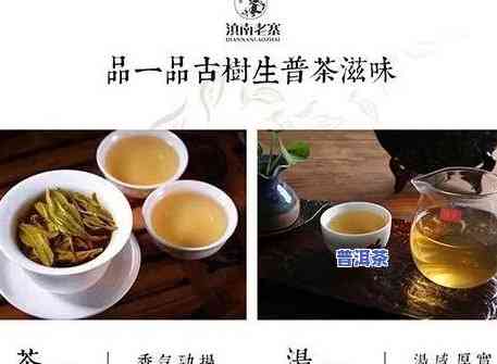 上饶高端普洱茶招商-上饶高端普洱茶招商电话