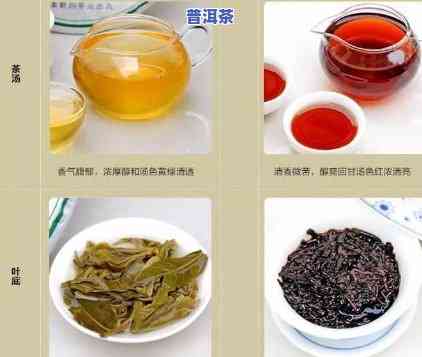 普洱茶属于黑色食品吗，探讨普洱茶的分类：它是不是属于黑色食品？