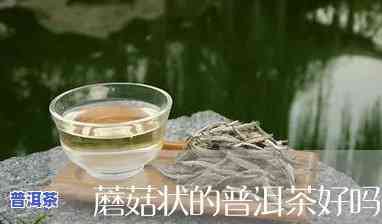 有蘑菇味的普洱茶是什么茶-有蘑菇味的普洱茶是什么茶