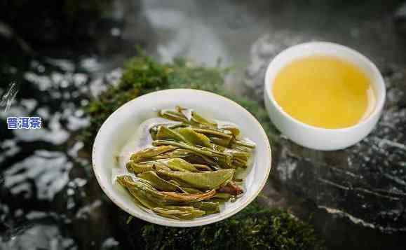 普洱茶一山一味,究竟是什么味，探秘普洱茶的韵味：一山一味，独具风情