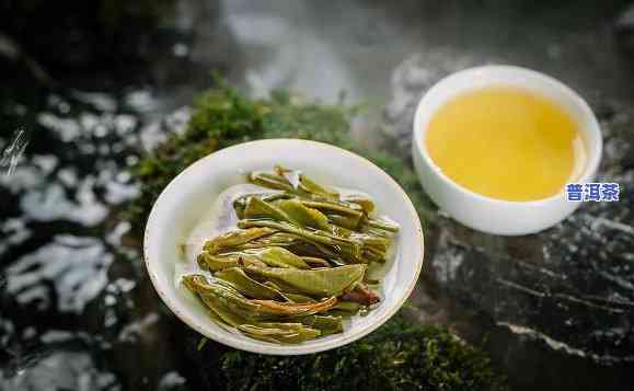 一山一水一味普洱茶-一山一水一味普洱茶是什么茶