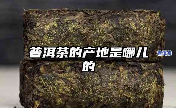 普洱茶可用保鲜膜包裹储存吗？有效期限是多久？