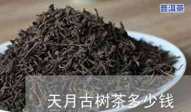 天月普洱茶厂的产品-天月普洱茶的价格