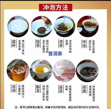 厦门山国工夫茶普洱茶泡法-山国工夫茶价格