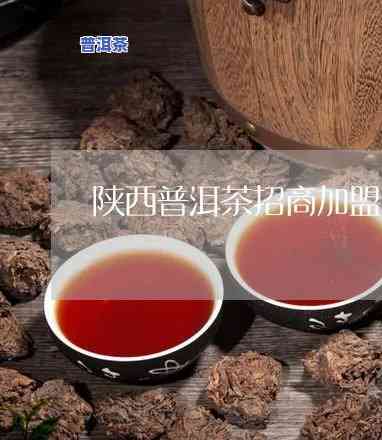 陕西普洱茶怎样加盟-陕西普洱茶怎样加盟代理