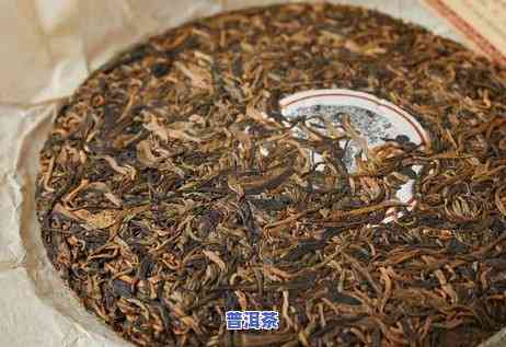 冰岛普洱茶买哪个牌子好？全面评测告诉你！