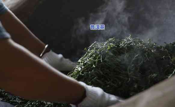 普洱茶坚持手工杀青的意义是什么？