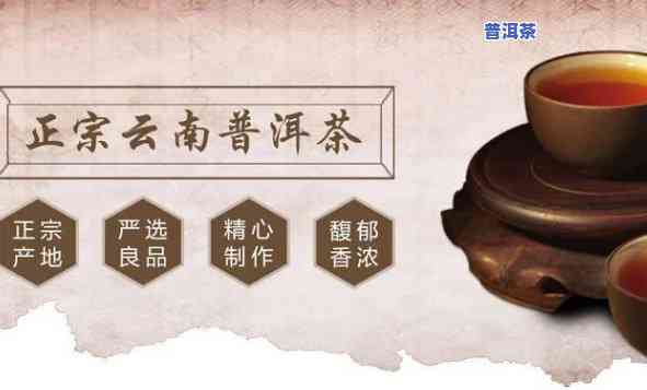 云南普洱茶代理：协议与电话全攻略