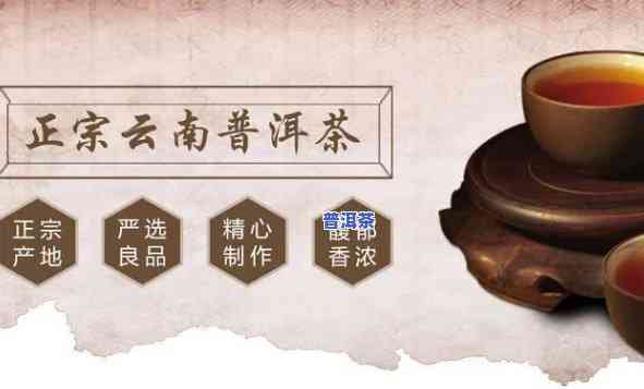 惠州普洱茶代理招商-普洱茶代理