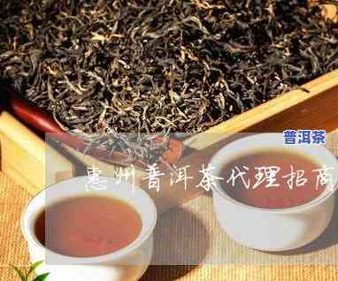 惠州普洱茶代理招商-普洱茶代理