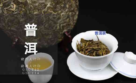 龙岩普洱茶代理条件-龙岩普洱茶代理条件是什么