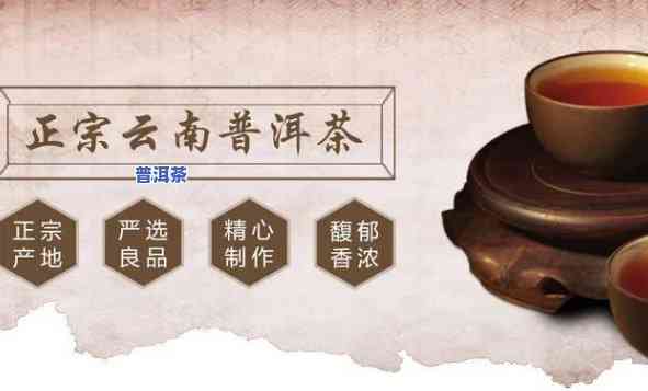 怎么选择代理普洱茶-怎么选择代理普洱茶产品