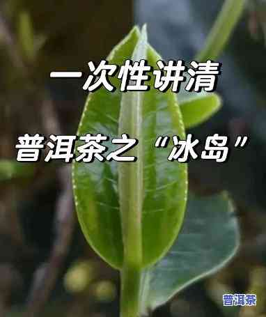 冰岛普洱有多少种茶类，探秘冰岛普洱：熟悉其丰富的茶类种类