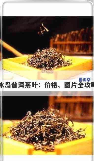 冰岛普洱有多少种茶-冰岛普洱有多少种茶类