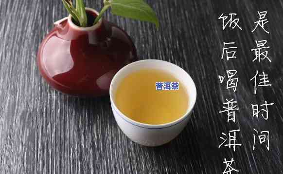 普洱茶每天饮用量：合适的毫升数是多少？特别针对女性