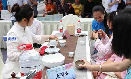 梧州普洱茶渠道招商-梧州普洱茶渠道招商电话