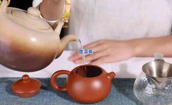 ：用朱泥壶泡普洱茶好吗？视频教学