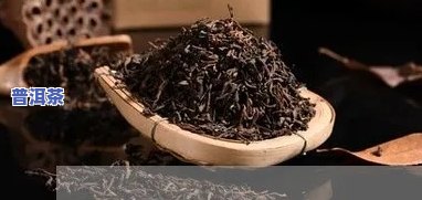 青海普洱茶加盟条件-青海普洱茶加盟条件是什么