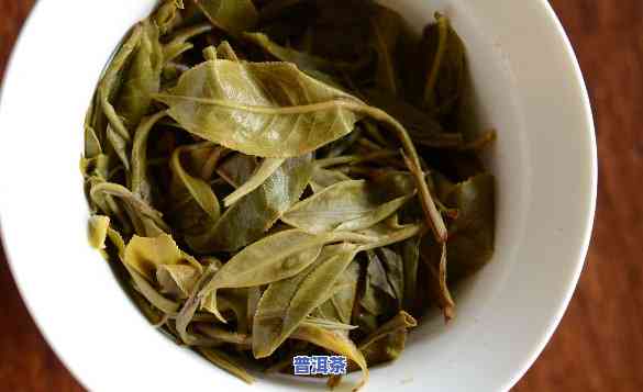 普洱茶叶底解析：深入熟悉普洱茶底的含义与特点