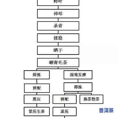 小金柑普洱茶制作工艺流程-小金柑普洱茶制作工艺流程图