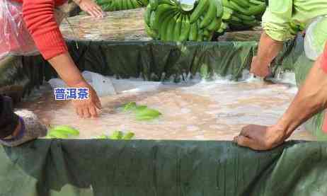 普洱茶有消水味道怎么办-普洱茶有消水味道怎么办呢