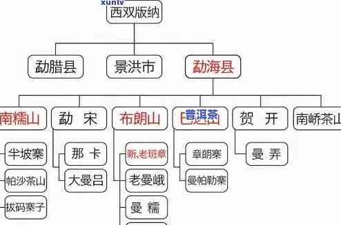 普洱茶品种名称图片全览及价格信息