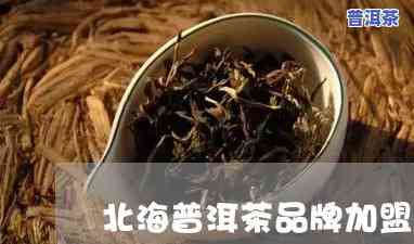 北海普洱茶怎样加盟-北海普洱茶怎样加盟代理