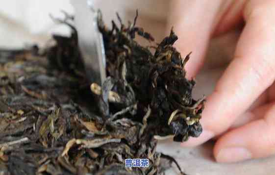 普洱茶饼撬不开？起因与解决方法全解析