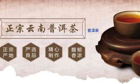 高端普洱茶代理加盟-高端普洱茶代理加盟店