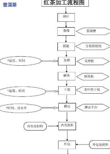 详解滇红大金芽制作工艺及其流程图