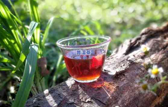 普洱茶散茶的品质特点：条索粗壮肥大，色泽褐红