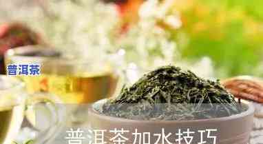 将水换成普洱茶的方法视频-将水换成普洱茶的方法视频教程