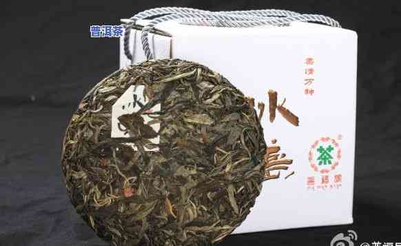 冰岛普洱古树茶海拔-冰岛普洱古树茶海拔多少