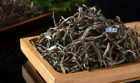 普洱茶叶选购指南：怎样挑选好茶？