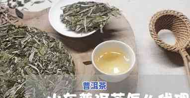 山东普洱茶代理加盟电话，加入山东普洱茶代理，获取联系方法！