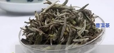 广州普洱茶代理招商-广州普洱茶批发价格