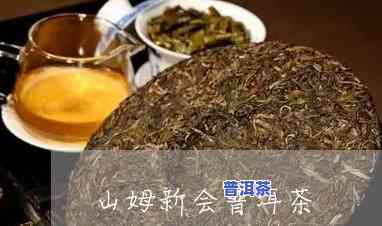 普洱茶包山姆好喝吗多少钱-普洱茶包山姆好喝吗多少钱一斤